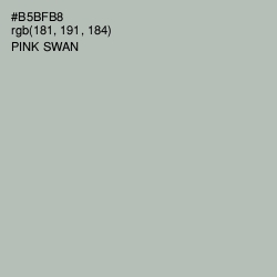 #B5BFB8 - Pink Swan Color Image