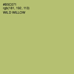 #B5C071 - Wild Willow Color Image