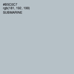 #B5C0C7 - Submarine Color Image
