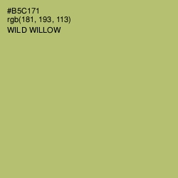 #B5C171 - Wild Willow Color Image