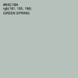 #B5C1BA - Green Spring Color Image