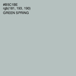 #B5C1BE - Green Spring Color Image