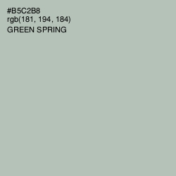 #B5C2B8 - Green Spring Color Image