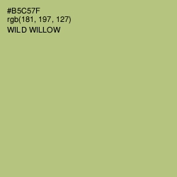 #B5C57F - Wild Willow Color Image