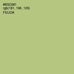 #B5C681 - Feijoa Color Image