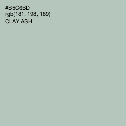 #B5C6BD - Clay Ash Color Image