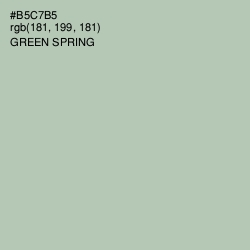 #B5C7B5 - Green Spring Color Image