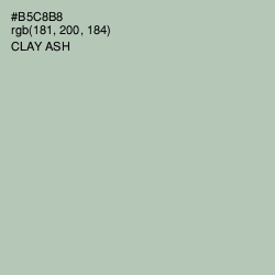 #B5C8B8 - Clay Ash Color Image
