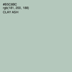 #B5C8BC - Clay Ash Color Image