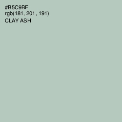 #B5C9BF - Clay Ash Color Image