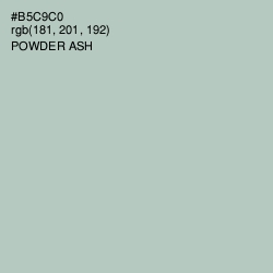 #B5C9C0 - Powder Ash Color Image