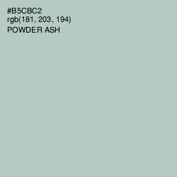 #B5CBC2 - Powder Ash Color Image