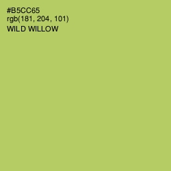 #B5CC65 - Wild Willow Color Image