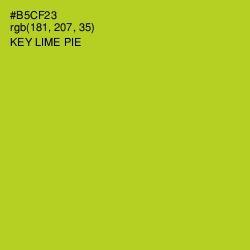 #B5CF23 - Key Lime Pie Color Image