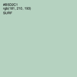 #B5D2C1 - Surf Color Image