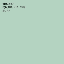 #B5D3C1 - Surf Color Image