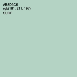#B5D3C5 - Surf Color Image