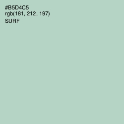 #B5D4C5 - Surf Color Image