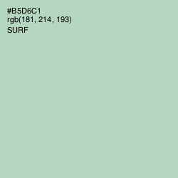 #B5D6C1 - Surf Color Image