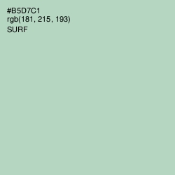 #B5D7C1 - Surf Color Image