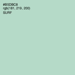 #B5DBC8 - Surf Color Image