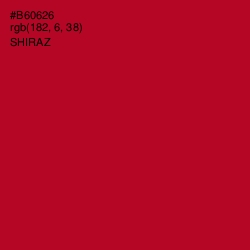 #B60626 - Shiraz Color Image