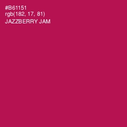 #B61151 - Jazzberry Jam Color Image