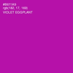 #B611A9 - Violet Eggplant Color Image