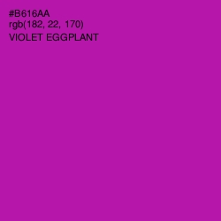 #B616AA - Violet Eggplant Color Image