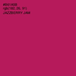 #B61A5B - Jazzberry Jam Color Image