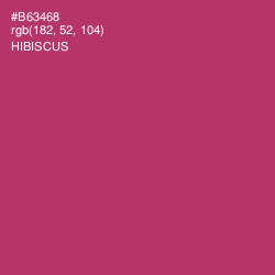 #B63468 - Hibiscus Color Image