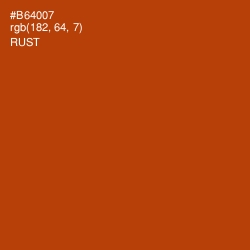 #B64007 - Rust Color Image