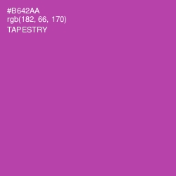 #B642AA - Tapestry Color Image