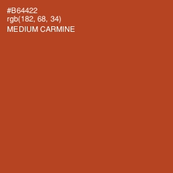 #B64422 - Medium Carmine Color Image