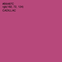 #B6487C - Cadillac Color Image
