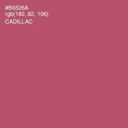 #B6526A - Cadillac Color Image