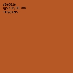 #B65826 - Tuscany Color Image