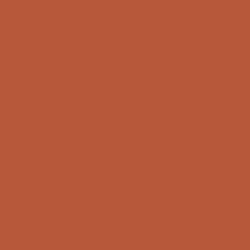 #B65A3A - Brown Rust Color Image