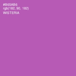 #B65AB6 - Wisteria Color Image