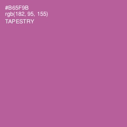 #B65F9B - Tapestry Color Image