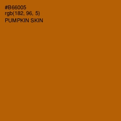 #B66005 - Pumpkin Skin Color Image