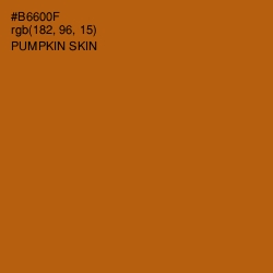 #B6600F - Pumpkin Skin Color Image