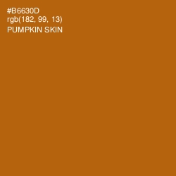 #B6630D - Pumpkin Skin Color Image