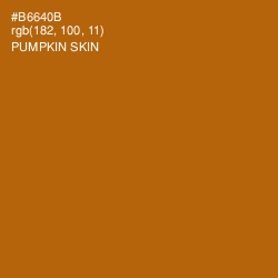 #B6640B - Pumpkin Skin Color Image