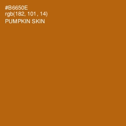 #B6650E - Pumpkin Skin Color Image