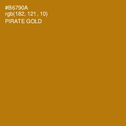 #B6790A - Pirate Gold Color Image