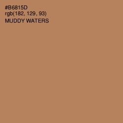 #B6815D - Muddy Waters Color Image