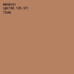 #B68161 - Teak Color Image