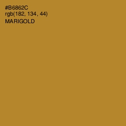 #B6862C - Marigold Color Image