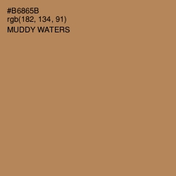 #B6865B - Muddy Waters Color Image